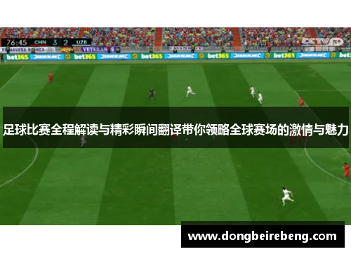 足球比赛全程解读与精彩瞬间翻译带你领略全球赛场的激情与魅力