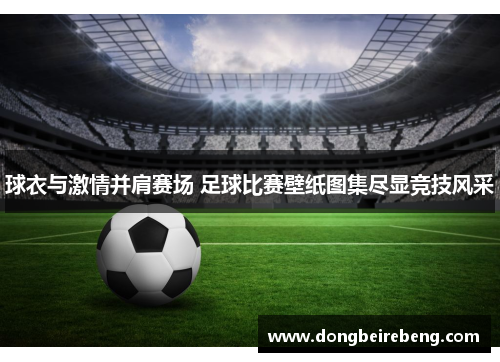 球衣与激情并肩赛场 足球比赛壁纸图集尽显竞技风采