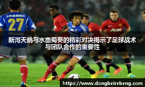 新泻天鹅与水壶蜀葵的精彩对决揭示了足球战术与团队合作的重要性