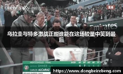 3377体育