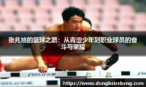 张兆旭的篮球之路：从青涩少年到职业球员的奋斗与荣耀