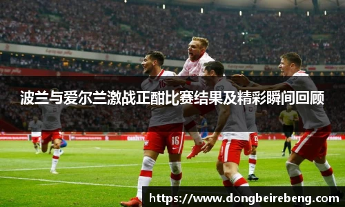 波兰与爱尔兰激战正酣比赛结果及精彩瞬间回顾