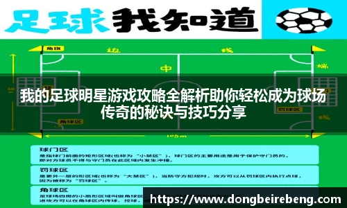 我的足球明星游戏攻略全解析助你轻松成为球场传奇的秘诀与技巧分享